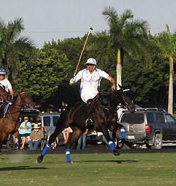 Adolfo Cambiaso