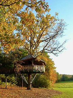 Strutted treehouse utilizing tree attachment bolts in a public park in Burlington, Vermont