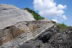 Ordovician-Silurian boundary on Hovedøya, Norway: the brownish late Ordovician mudstone and later dark deep-water Silurian shale layers have been overturned by the Caledonian orogeny.