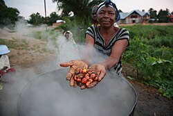 Palm oil production is done in some parts of the world artisanally, and the locally produced oil is used for food, handicrafts and other products. This woman in the Democratic Republic of the Congo is showing the palm fruit above a pot for processing the fruit.