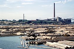 A sawmill with the floating logs in Kotka, Finland