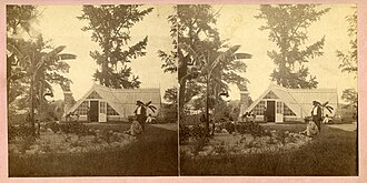 A heated greenhouse, or "hothouse", In Macon, Georgia c. 1877.