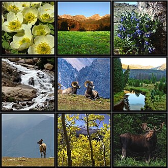 Clickable examples of ecosystem elements