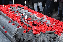 Remembrance poppies atop the Canadian Tomb of the Unknown Soldier