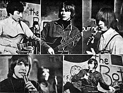 The Shadows of Knight in 1966