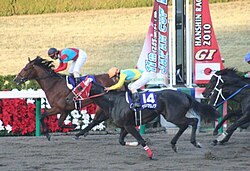 Transcend racing at the 2010 Japan Cup Dirt.