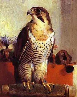Hunting falcon as depicted by Edwin Henry Landseer in 1837.