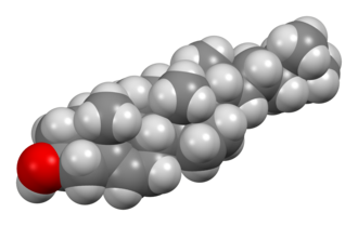 Space-filling model of cholesterol
