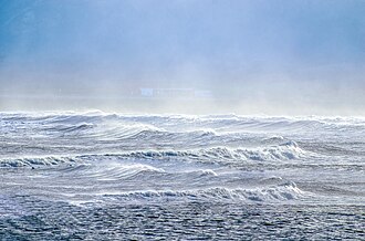 Sea spray containing marine microorganisms can be swept high into the atmosphere where they become aeroplankton, and can travel the globe before falling back to earth.