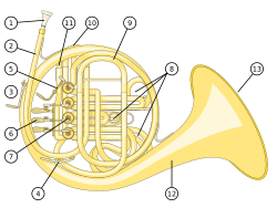 Scheme of a double horn (view from underneath) MouthpieceLeadpipe, where the mouthpiece is placedAdjustable handrestWater key (also called a spit valve)Fourth valve to change between F and B♭ pitchesValve levers, operated with the left handRotary valvesSlides, for tuning each valveLong tubing for F pitch with slideGeneral slideShort tubing for B♭ pitch with slideBellpipeBell; the right hand is cupped inside this