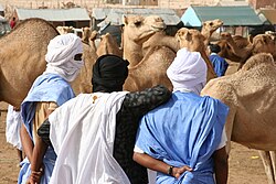 Camel market in Nouakchott