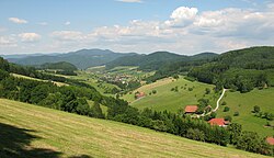 Grassland economy in side valleys of the Kinzig, Central Black Forest