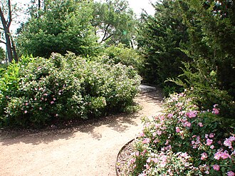 A footpath in Portage Park