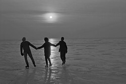 Freezing of Lake Constance in 1963