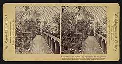 Stereograph card of Botanic Garden in 1880 (approximately)
