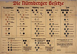 Chart showing the pseudo-scientific racial divisions used in the racial policies of Nazi Germany