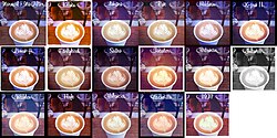 A photo collage of an unprocessed image (top left) modified with the 16 different Instagram filters available in 2011
