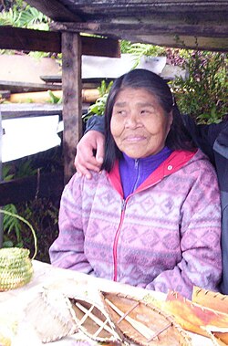 A Kawésqar woman selling handicrafts to tourists in Villa Puerto Edén, Chile.