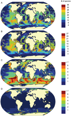 Marine mammal species richness: A) All species (n = 115), B) toothed whales (n = 69), C) baleen whales (n = 14), D) seals (n = 32), based on data from 1990 to 1999[31]