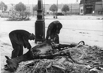 Men scavenging a dead horse during World War II (at the end of the Battle of Berlin), on Manfred-von-Richthofen-Straße in Tempelhof borough, 1945