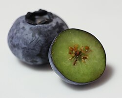 Whole blueberry and in cross-section