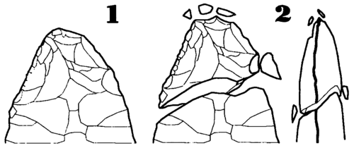 Drawing of the fracturing of the point of a hand axe, due to its use.