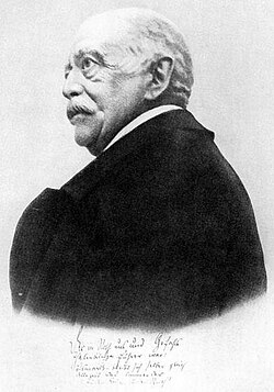 Otto von Bismarck significantly affected the image of Caprivi.
