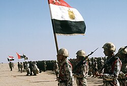 Coalition troops from Egypt, Syria, Oman, France, and Kuwait during Operation Desert Storm