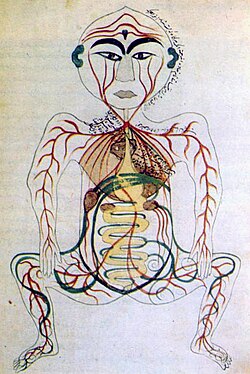 Historical depiction of the digestive system, 17th century Persia