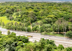 Botanical Garden of Asunción