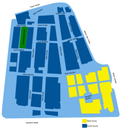 Map of the South Souks showing the Hellenistic street grid