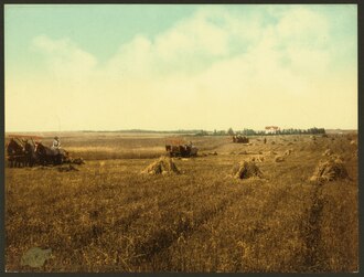 A harvest in South Dakota, 1898