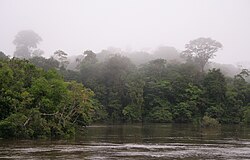 The Coppename river, one of many rivers in the interior