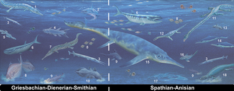 Marine vertebrate apex predators of the Early Triassic and Anisian (Middle Triassic)[74]