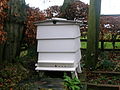 WBC hive