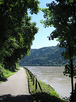 The Danube Bike Trail running along the Schlögener Schlinge, a water gap in the Bohemian Massif