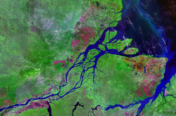 The mouth of the Amazon River