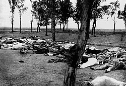 Armenians killed during the Armenian genocide. Image taken from Ambassador Morgenthau's Story, written by Henry Morgenthau Sr. and published in 1918.[261]