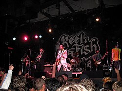 Reel Big Fish performing in 2008