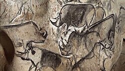 An artistic depiction of a group of rhinoceros was completed in the Chauvet Cave 30,000 to 32,000 years ago.