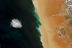 A hydrogen sulfide bloom (green) stretching for about 150 km (93 mi) along the coast of Namibia. As oxygen-poor water reaches the coast, bacteria in the organic-matter rich sediment produce hydrogen sulfide, which is toxic to fish.
