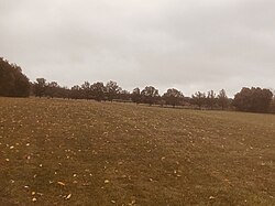 Rolling fields in East Windsor