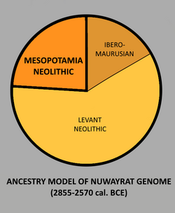 Ancestry model of Egyptian genome NUE001 from Nuwayrat (2855–2570 BC).[219]