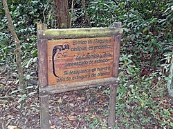 A sign in the park points out that this area is the last place in the world where the endangered cotton-top tamarin still exists