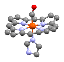 A heme unit of human carboxyhemoglobin, showing the carbonyl ligand at the apical position, trans to the histidine residue[164]