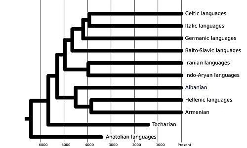 Indo-European language family tree based on "Ancestry-constrained phylogenetic analysis of Indo-European languages" by Chang et al. 2015[43]
