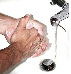 Washing one's hands, a form of hygiene, is an effective way to prevent the spread of infectious disease.[65]
