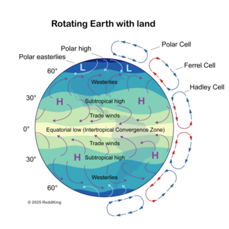 Global atmospheric circulation: Earth's rotation creates characteristic wind belts