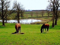 Bluegrass region, Kentucky