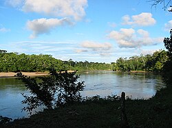 The rio Curaray